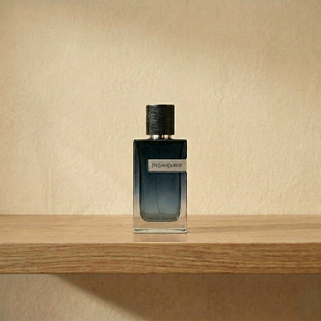 YSL Y